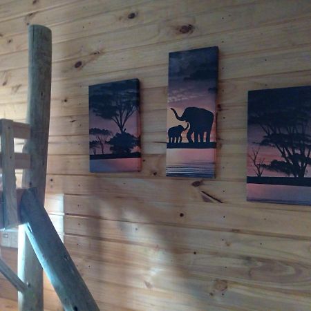 Hostel Cape Town - Cambara Bagian luar foto