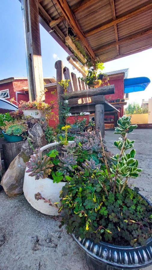 Hostel Cape Town - Cambara Bagian luar foto