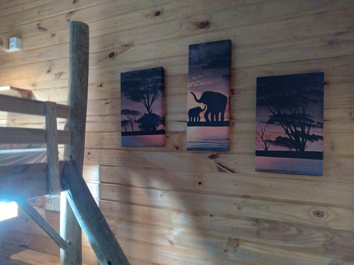 Hostel Cape Town - Cambara Bagian luar foto